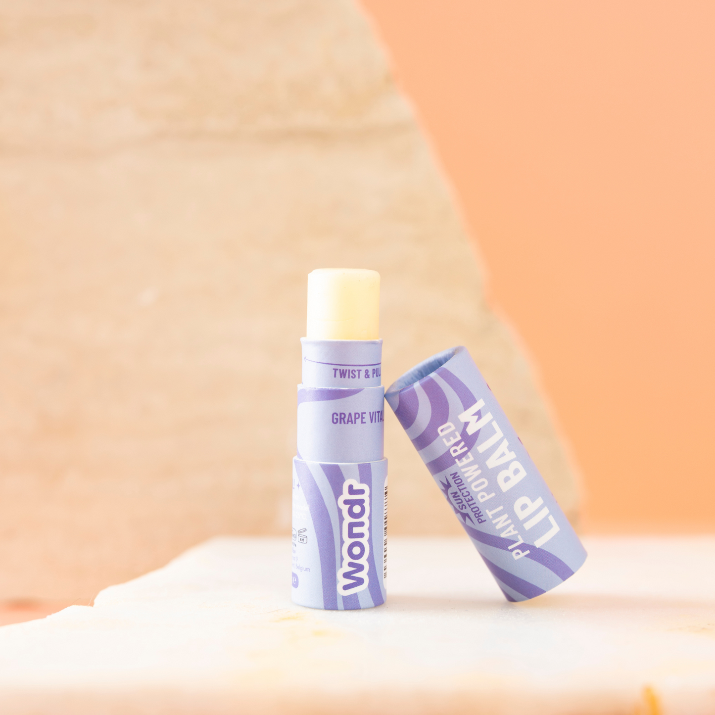 🎁 BAUME À LÈVRES À BASE DE PLANTES | Baume à lèvres (100 % de réduction)